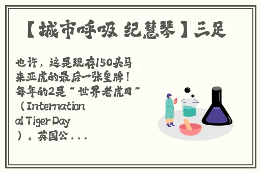乌克兰VICTORYDAY小孩